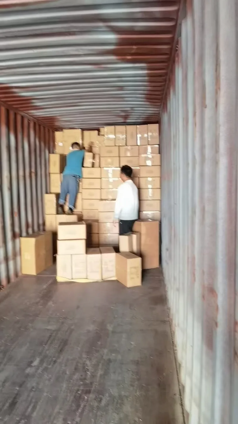 A blue container photographed straight on, filled to the door with packed cartons