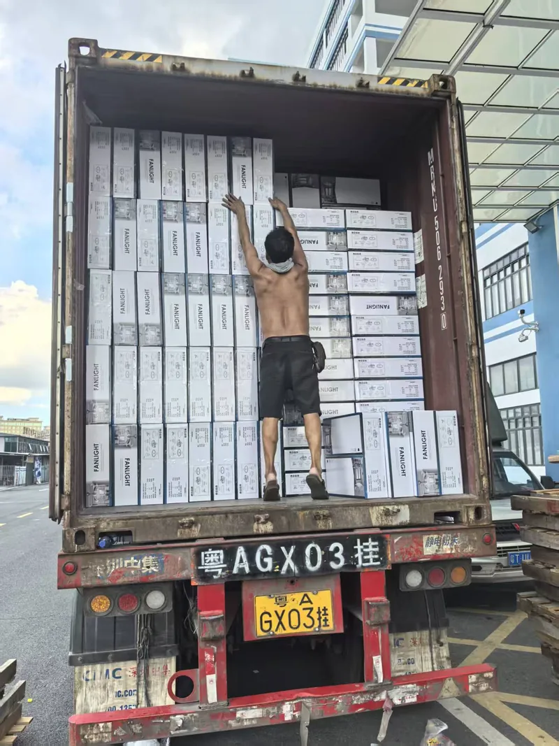 Rows of printed fan-light cartons filling the full width of a container